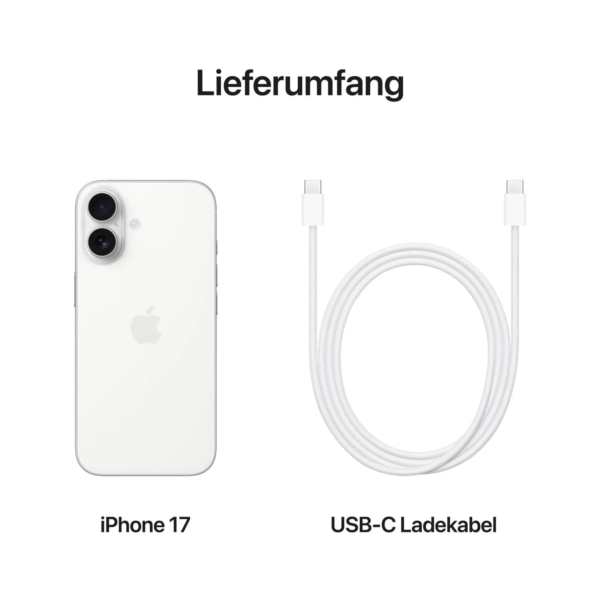 thumb-3